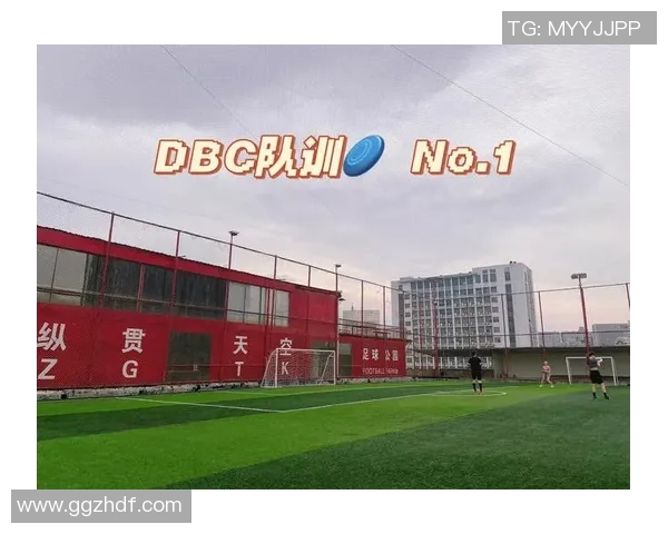 南京飞盘队区域防守分析：优劣势与改进建议探讨